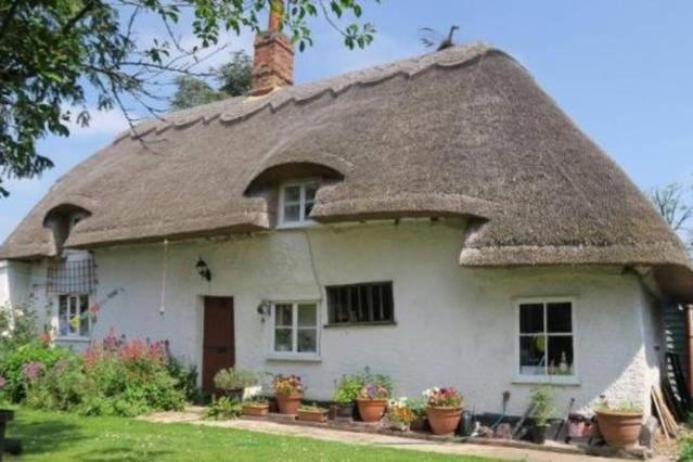Entire Thatched Cottage Мельбурн Экстерьер фото